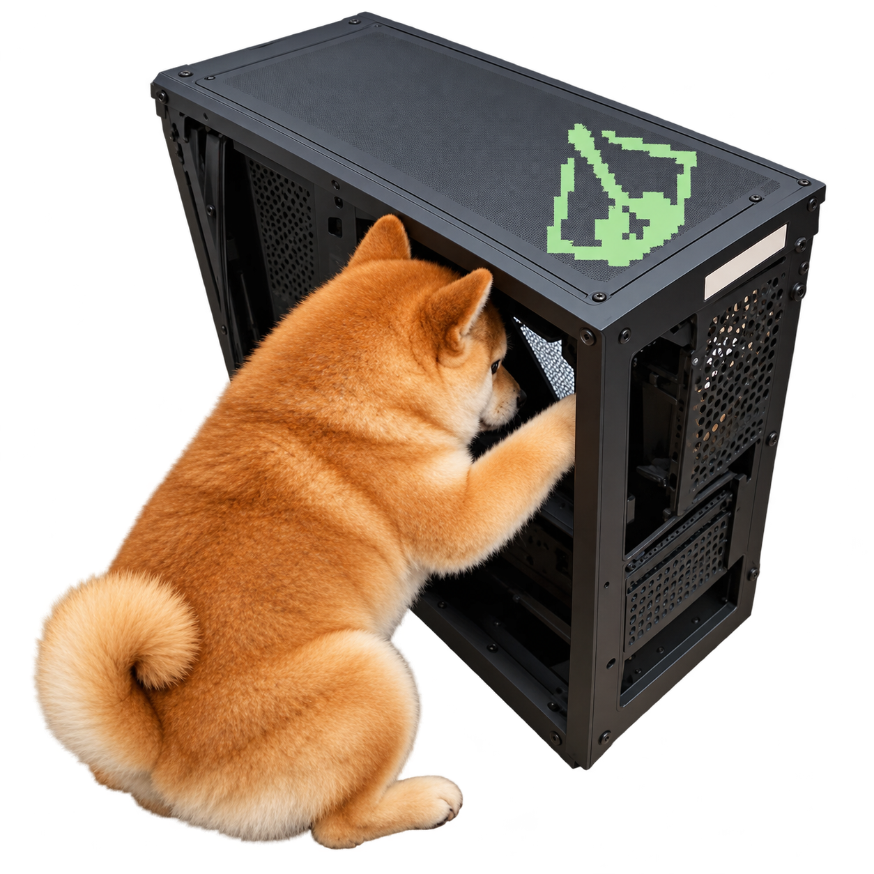 A fluffy Shiba Inu exploring an open black computer case